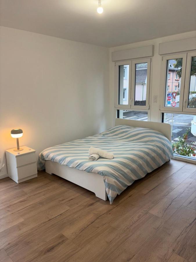 Appartement + Parking + Terrasse Mulhouse Kültér fotó
