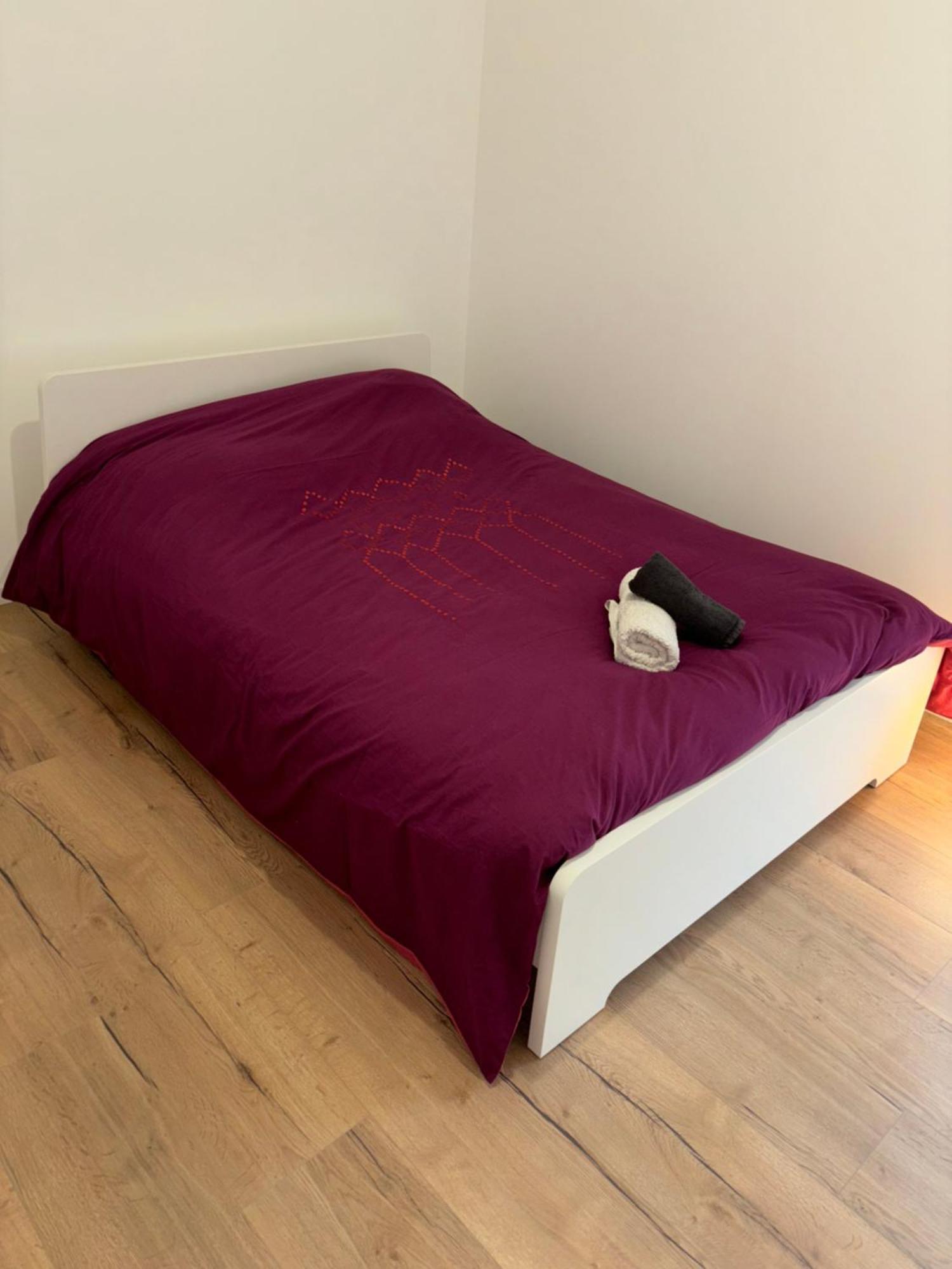 Appartement + Parking + Terrasse Mulhouse Kültér fotó